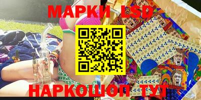 гидропоника Бердск