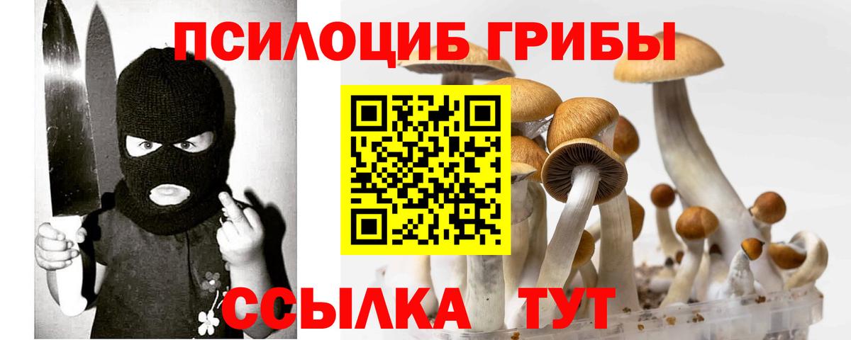 Галлюциногенные грибы GOLDEN TEACHER Губкин