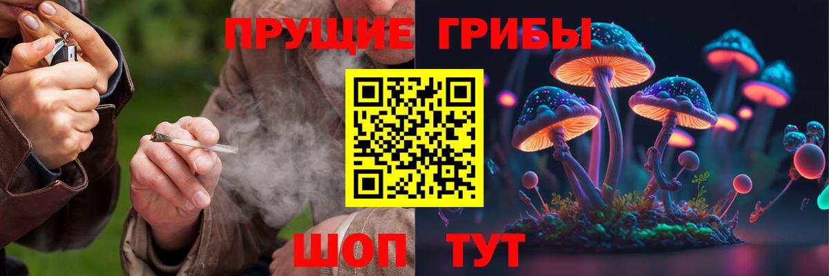 где купить   Псилоцибиновые грибы MAGIC MUSHROOMS  Вход с VPN  Губкин 