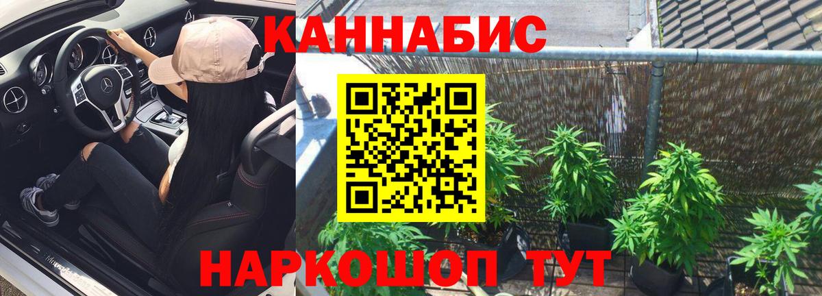 Шишки марихуана SATIVA & INDICA  Вход с VPN  МАРИХУАНА конопля  Шишки марихуана Ganja  Губкин 